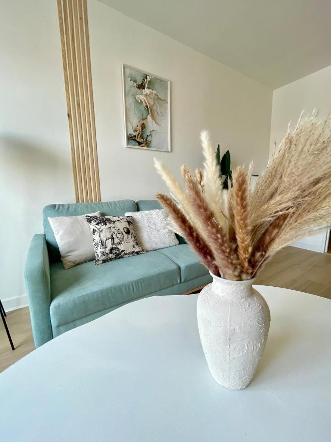 Apartamento La Douceur Roannaise - Parking Prive Proche Gare Roanne Exterior foto